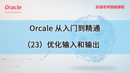 Oracle数据库从入门到精通（23）优化输入和输出