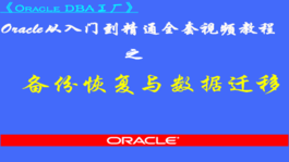 Oracle备份恢复与数据迁移