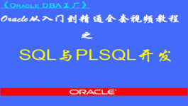 Oracle SQL与PLSQL程序开发